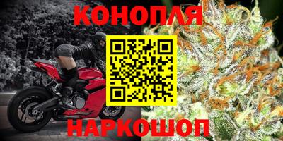 стаф Бузулук
