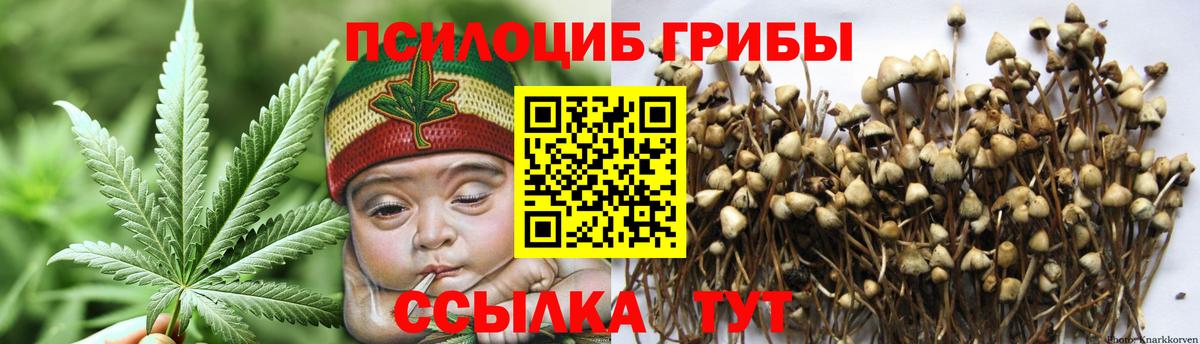 Пыть-Ях  Галлюциногенные грибы мухоморы  Вход с VPN  Галлюциногенные грибы Psilocybine cubensis 