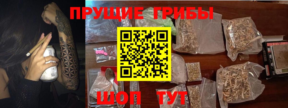 Псилоцибиновые грибы Psilocybine cubensis Пыть-Ях